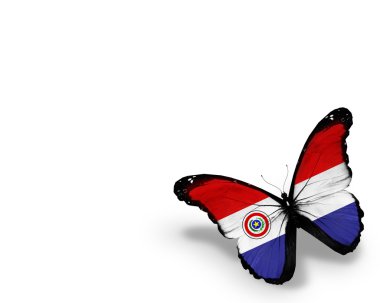 Beyaz arka plan üzerinde izole Paraguaylı bayrak kelebek