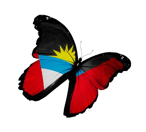 Antigua a barbuda vlajky motýl létání, izolovaných na bílém bac — Stock fotografie