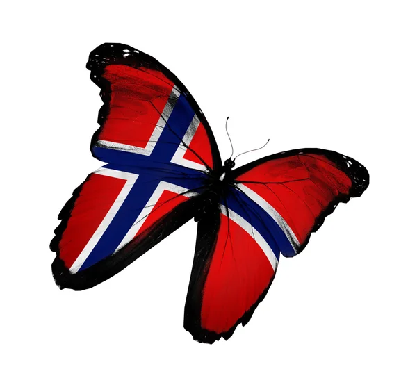 Mariposa bandera noruega volando, aislada sobre fondo blanco —  Fotos de Stock