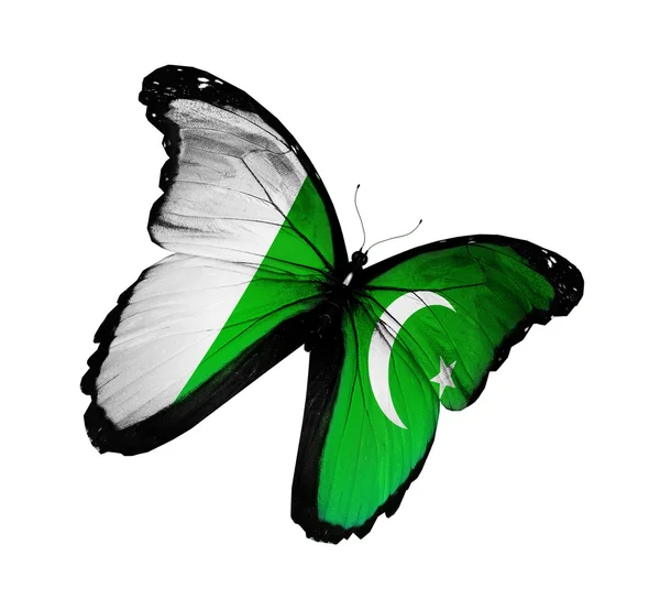 巴基斯坦国旗蝴蝶飞，孤立在白色背景 — 图库照片