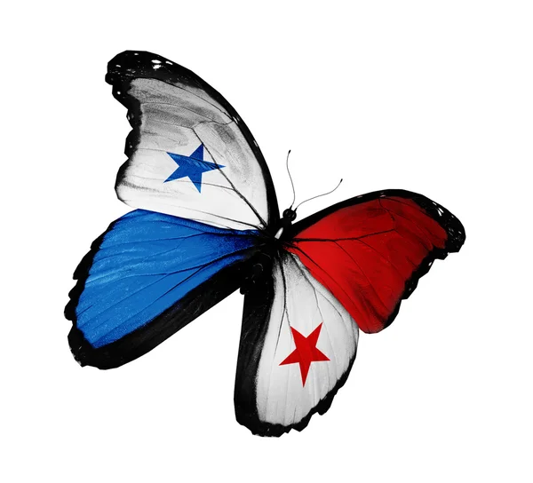 Flaga Panamy motyl latający na białym tle na białym tle — Zdjęcie stockowe