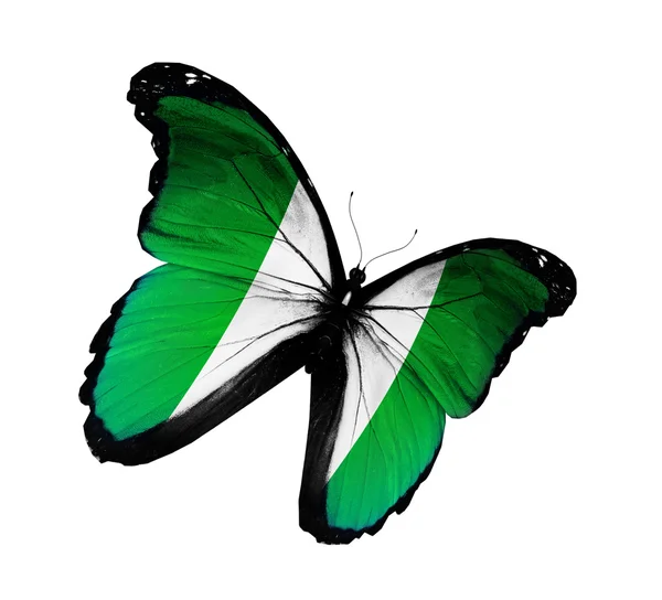 Nijerya bayrak kelebek uçuyor, izole üzerinde beyaz arka plan — Stok fotoğraf