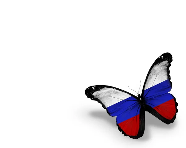 Russische vlag vlinder, geïsoleerd op witte achtergrond — Stockfoto