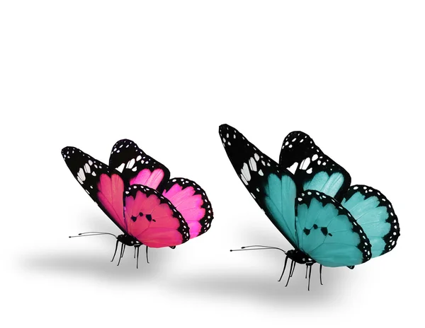 Dos mariposas de color rosa azul, aisladas sobre fondo blanco — Foto de Stock