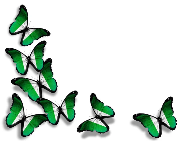 Nigeria vlag vlinders, geïsoleerd op witte achtergrond — Stockfoto