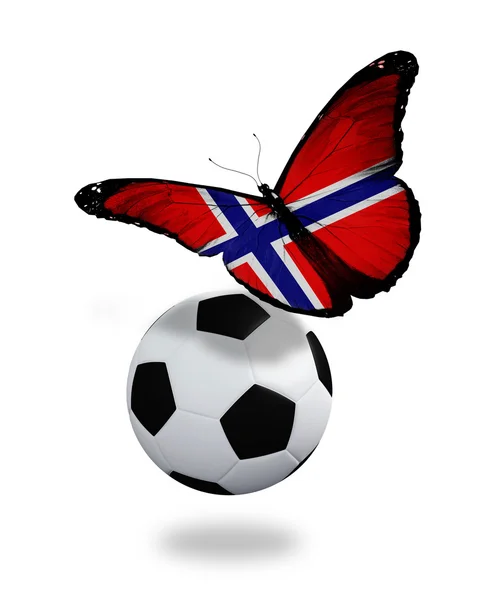 Conceito - borboleta com bandeira norueguesa voando perto da bola, l — Fotografia de Stock