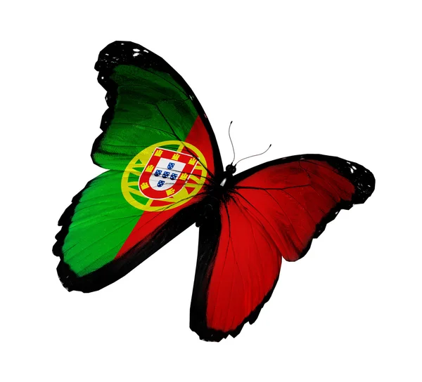 Bandeira portuguesa borboleta voando, isolada sobre fundo branco — Fotografia de Stock