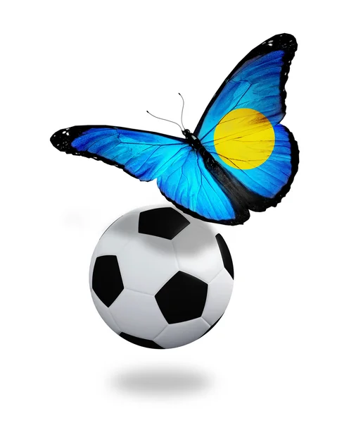 Koncept - motýl s příznakem palau flying poblíž míč, jako — Stock fotografie