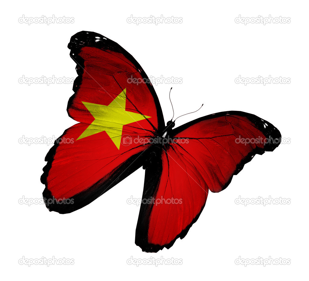 Vietnamese flag butterfly flying, isolated on white background