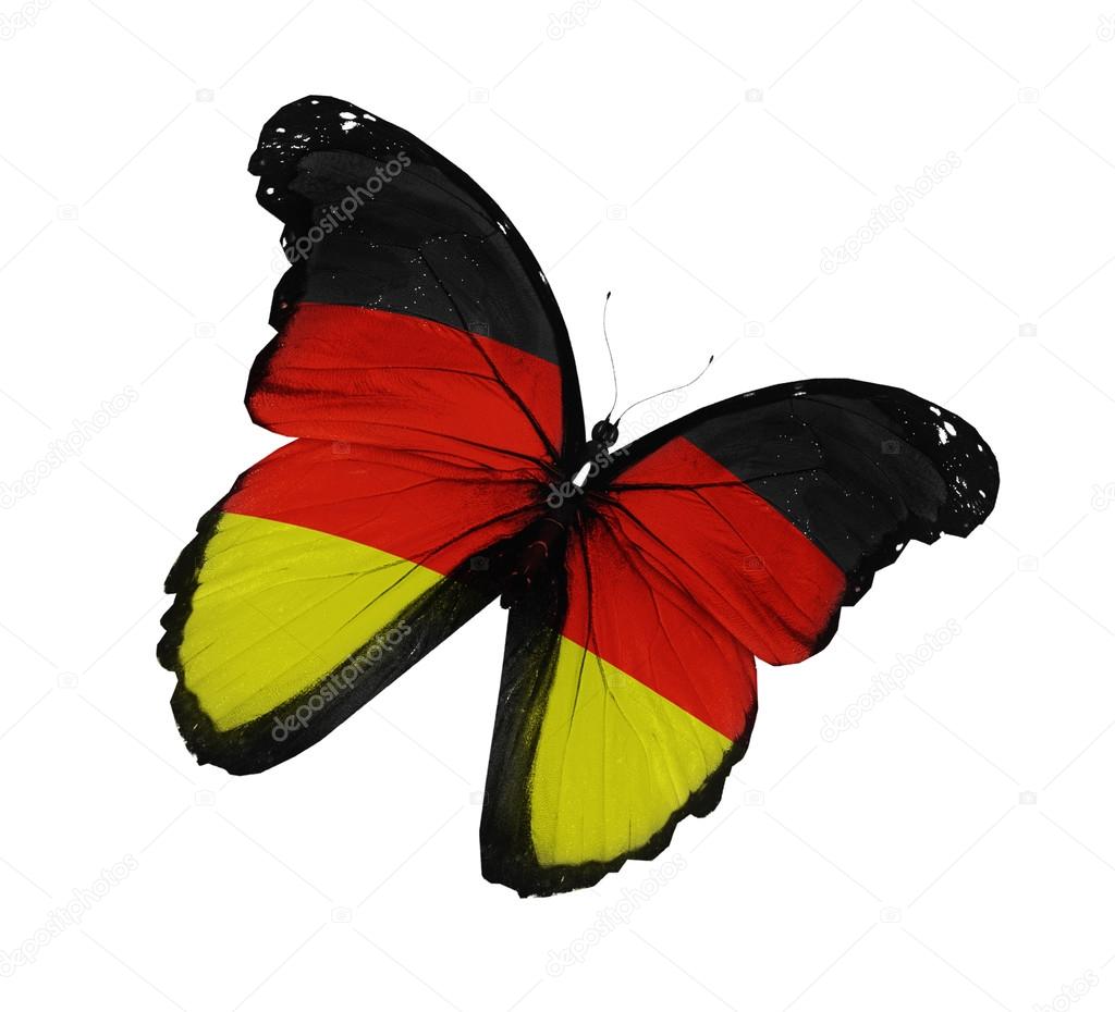German flag butterfly flying, isolated on white background