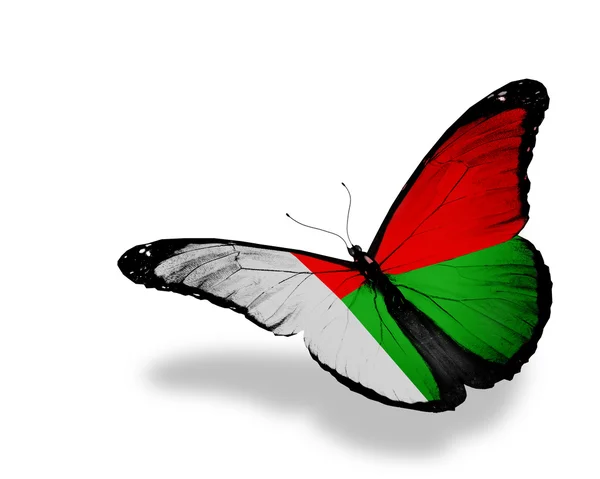 Madagascar bandera mariposa volando, aislado sobre fondo blanco — Foto de Stock