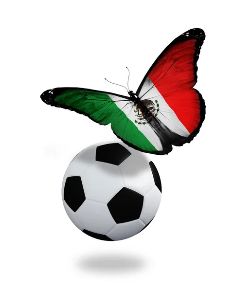 Concepto - mariposa con bandera mexicana volando cerca de la pelota, como —  Fotos de Stock