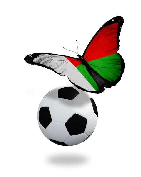 Concepto - mariposa con bandera de Madagascar volando cerca de la pelota, l — Foto de Stock