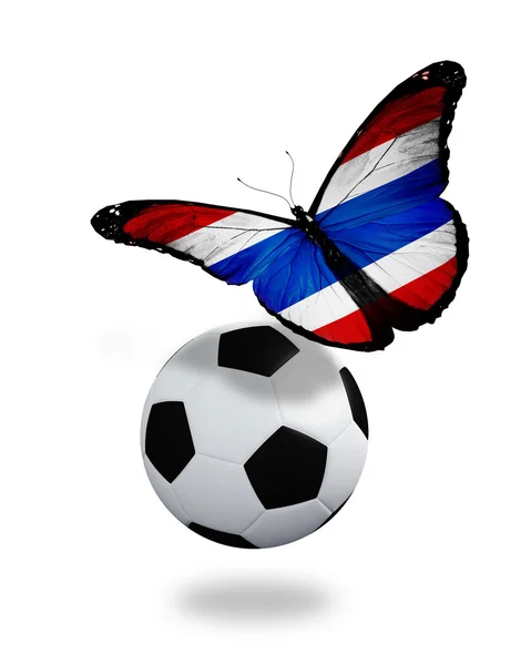 Concepto - mariposa con bandera de Tailandia volando cerca de la pelota, lik —  Fotos de Stock