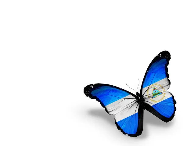 Nicaragua flag butterfly, isolated on white background — Stock Photo, Image