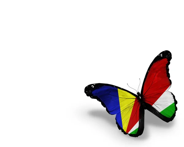 Seychelles flag butterfly, isolated on white background — Stock Photo, Image