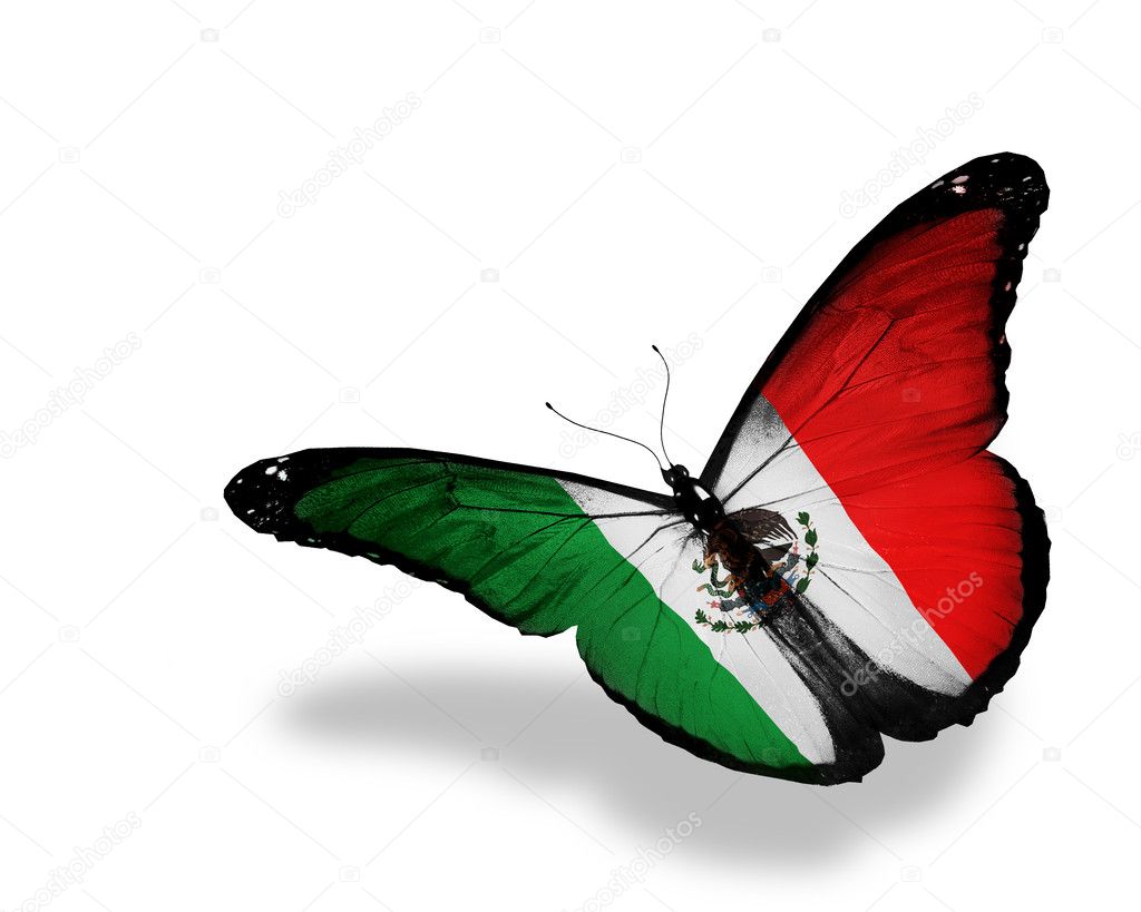 United Mexican States flag butterfly flying, isolated on white b