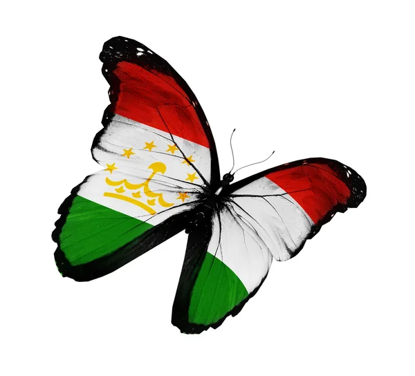 Papillon drapeau tadjik volant, isolé sur fond blanc — Photo