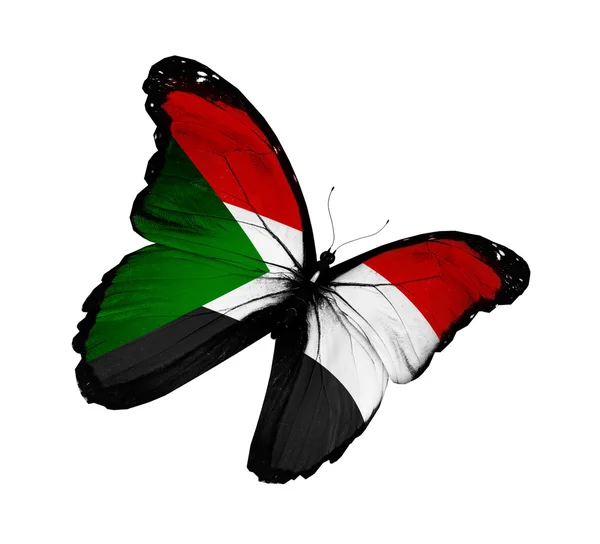 Sudanese flag butterfly flying, isolated on white background — Stock Photo, Image