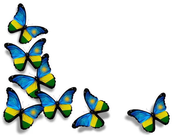 Papillons drapeau du Rwanda, isolés sur fond blanc — Photo