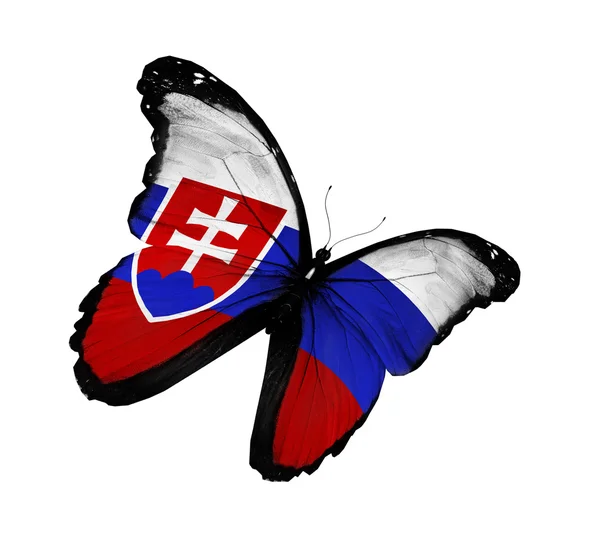 Slovakiska flagga fjäril flyger, isolerade på vit bakgrund — Stockfoto