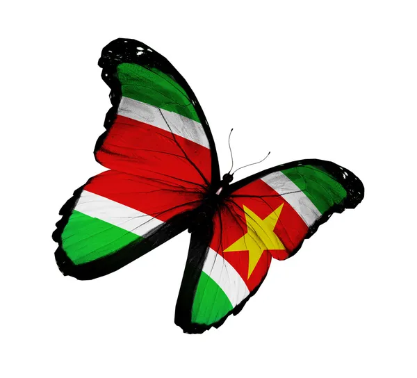 Surinams flagga fjäril flyger, isolerade på vit bakgrund — Stockfoto