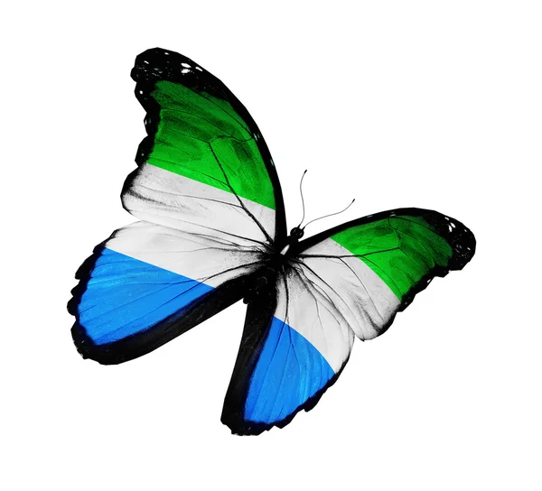 Sierra Leone flag butterfly flying, isolated on white background — Stock Photo, Image