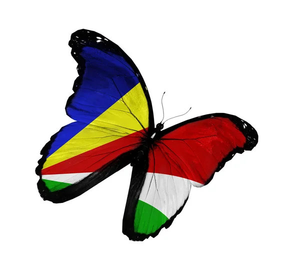 Seychellois flag butterfly flying, isolated on white background — Stock Photo, Image