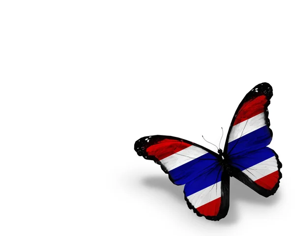 Thai flag butterfly, isolated on white background — Stock Photo, Image