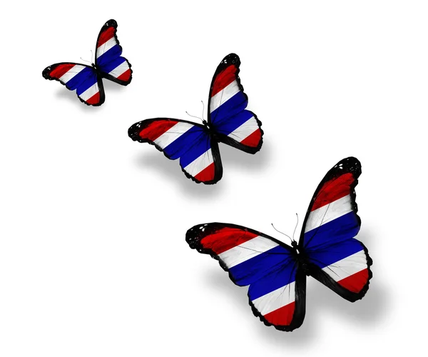 Drie thai vlag vlinders, geïsoleerd op wit — Stockfoto
