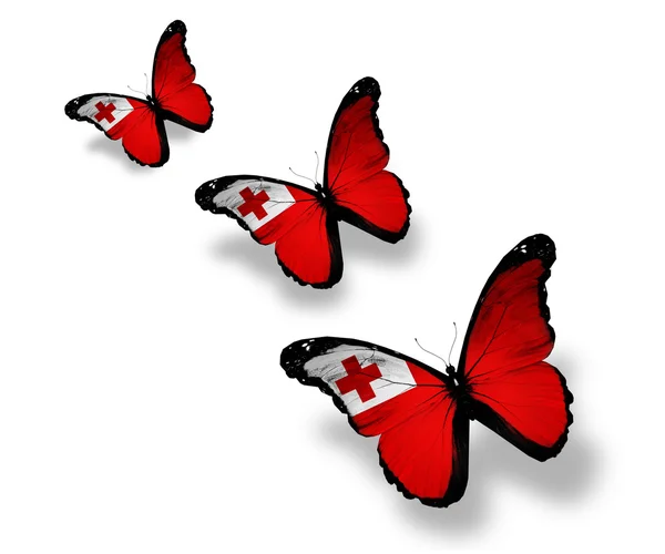 Tres mariposas bandera Tonga, aisladas en blanco — Foto de Stock