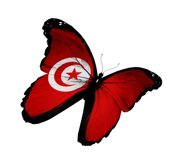 Tunisiska flaggan fjäril flyger, isolerade på vit bakgrund — Stockfoto