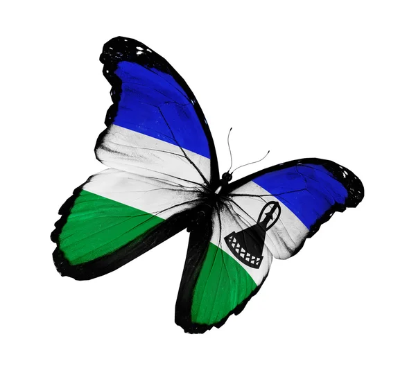 Lesotho bandera mariposa volando, aislado sobre fondo blanco — Foto de Stock