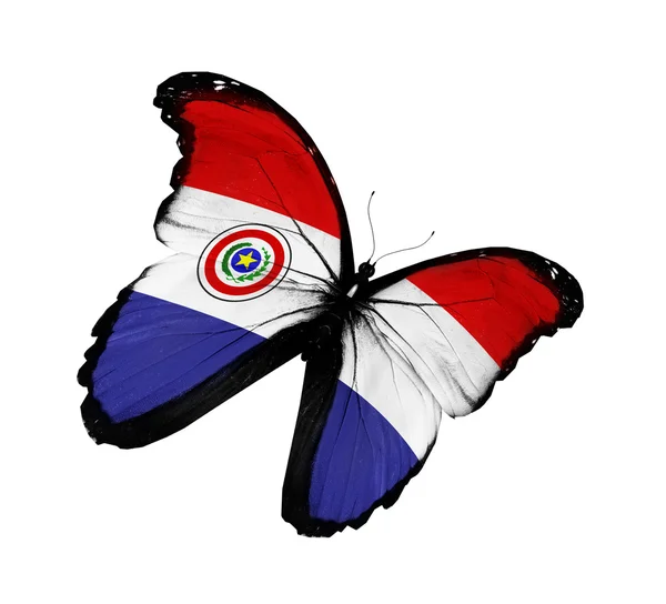 Flaga Paragwaju motyl latający na białym tle na białym tle — Zdjęcie stockowe