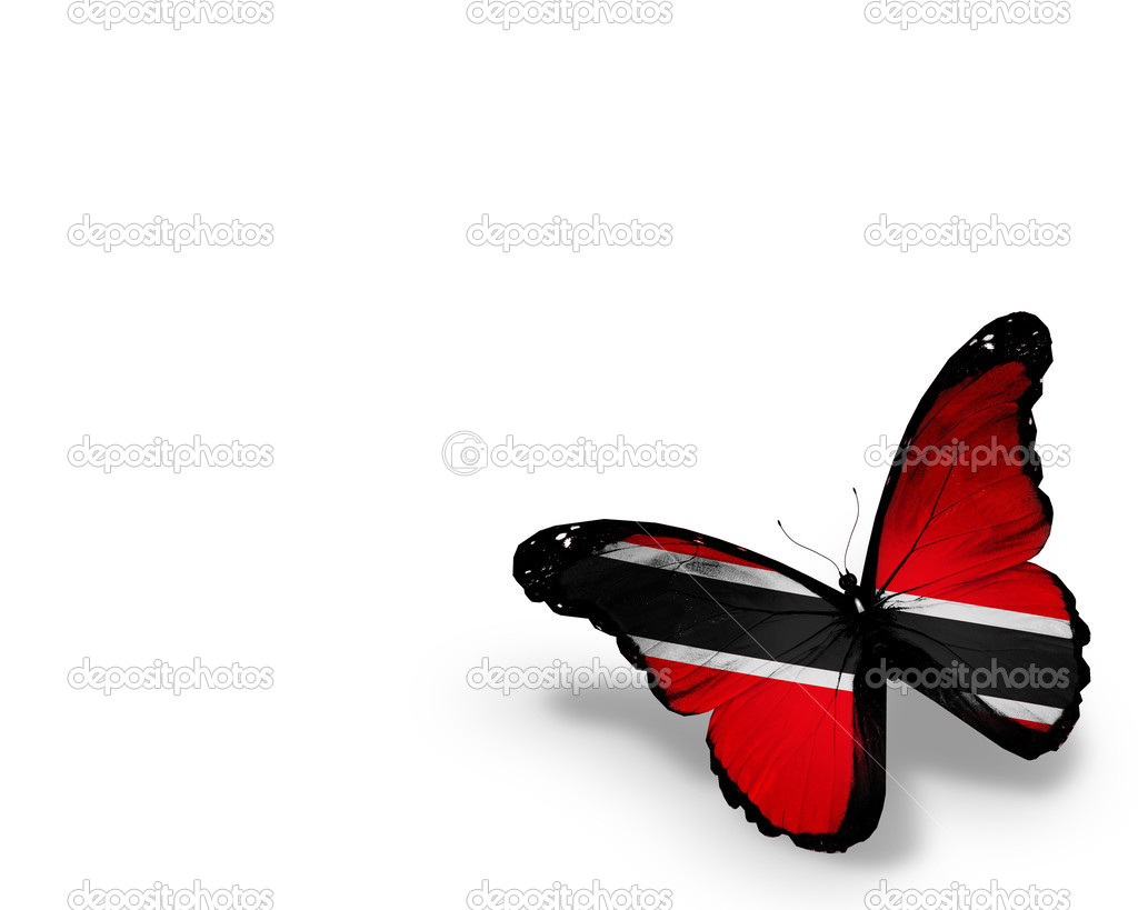 Trinidad and Tobago flag butterfly, isolated on white background