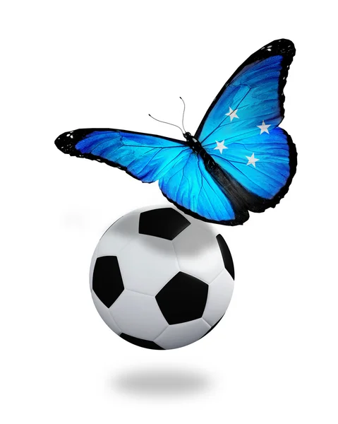 Conceito - borboleta com bandeira Micronésia voando perto da bola, l — Fotografia de Stock