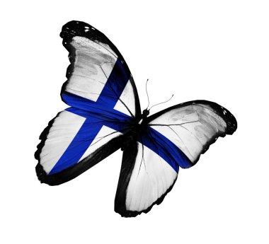 Finnish flag butterfly flying, isolated on white background clipart