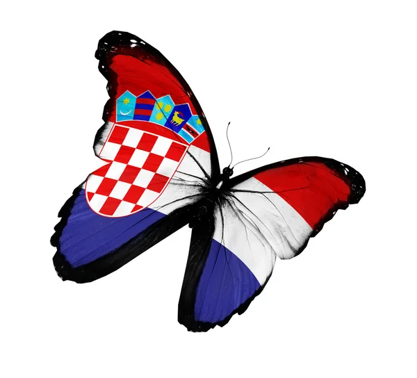 Drapeau croate papillon volant, isolé sur fond blanc — Photo
