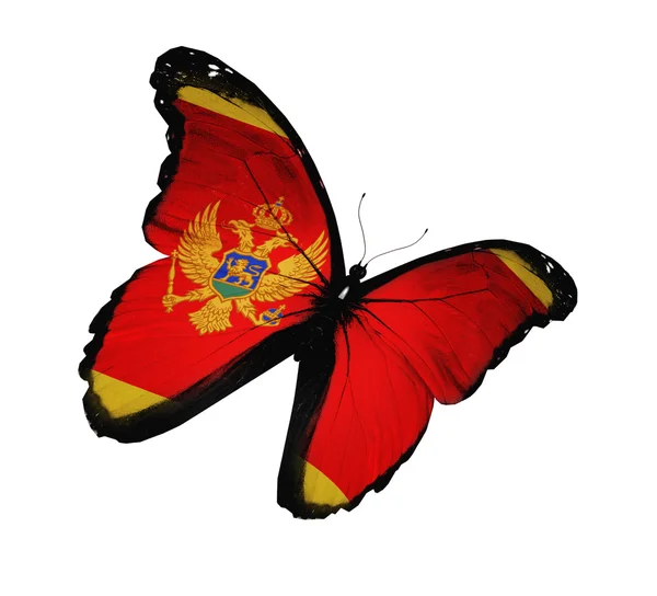 Montenegro flag butterfly flying, isolated on white background — Stock Photo, Image