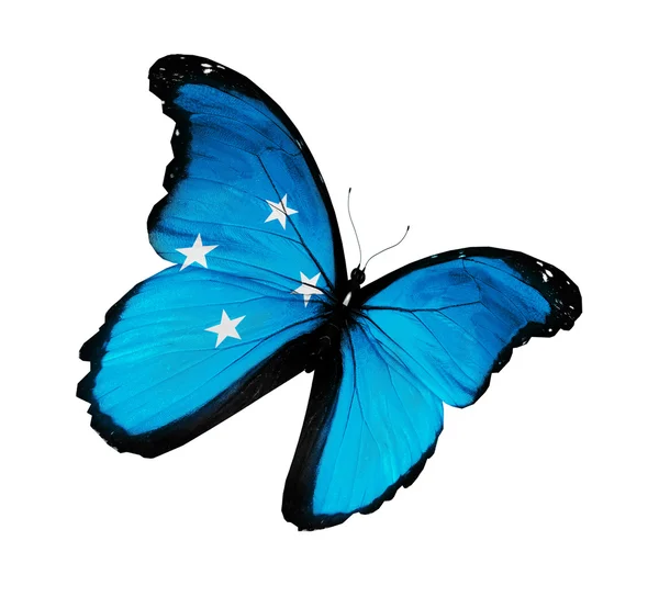 Mikronesien Flagge Schmetterling fliegen, isoliert auf weißem Hintergrund — Stockfoto