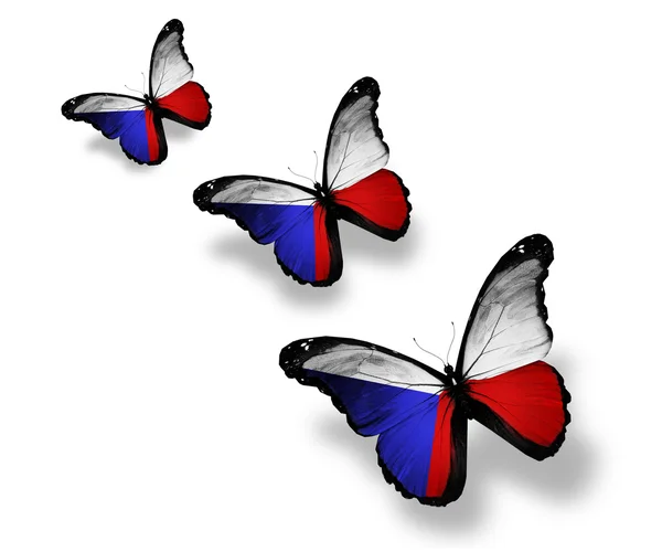 Three Czech flag butterflies, isolated on white — Stock Photo, Image