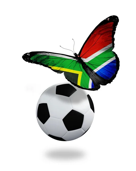 Concepto - mariposa con bandera de Sudáfrica volando cerca de la pelota , —  Fotos de Stock