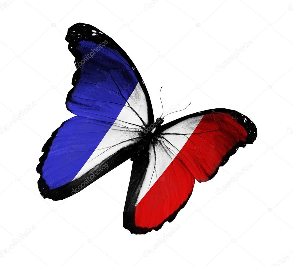 Drapeau Francais Images Libres De Droit Photos De Drapeau Francais Depositphotos Drapeau Francais Images Libres De Droit Photos De Drapeau Francais Depositphotos