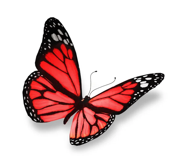 Röd fjäril, isolerad på vit bakgrund — Stockfoto