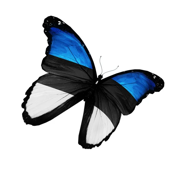Motyl banderą Estońską latający na białym tle na białym tle — Zdjęcie stockowe