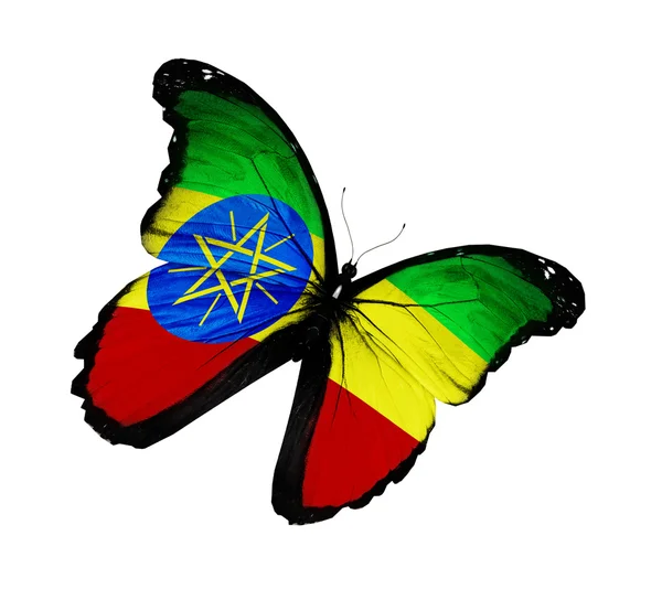 Ethiopië vlag vlinder vliegen, geïsoleerde op witte achtergrond — Stockfoto