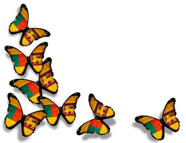 sri lanka bayrağı kelebekler, beyaz zemin üzerine izole