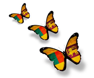 beyaz izole üç sri lanka bayrağı kelebekler