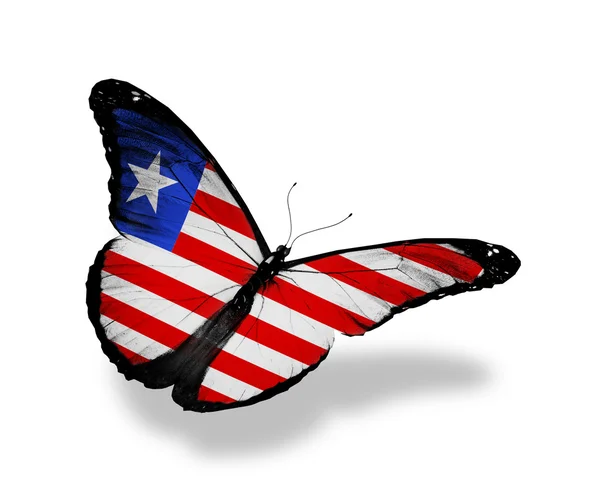 Liberia flag butterfly flying, isolated on white background — Stock Photo, Image