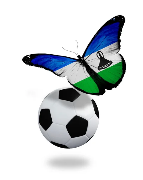 Koncept - fjäril med lesotho flagg nära bollen, som — Stockfoto